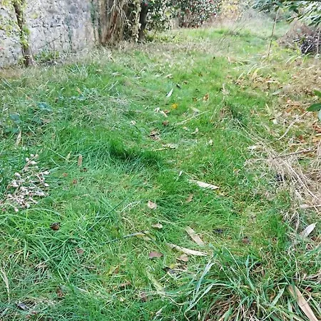 Cosy De 55 M2, élégant Et Rénové Sur *