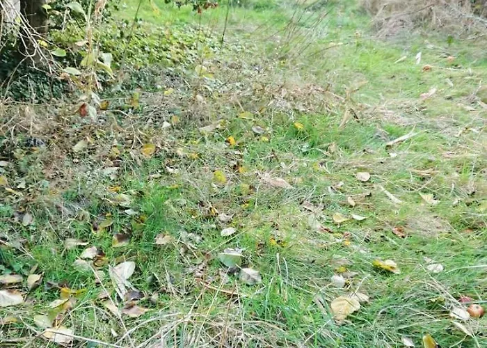 Cosy De 55 M2, Elegant Et Renove Et Parking Prive Sur Appartement Boulogne-sur-Mer