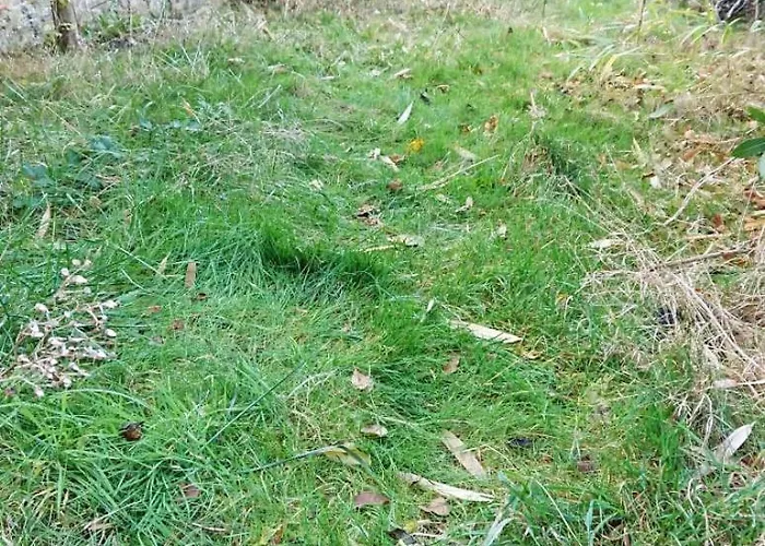 Cosy De 55 M2, Elegant Et Renove Et Parking Prive Sur *